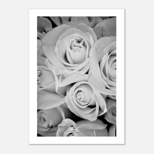 Monochrome Roses