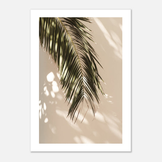 Palm